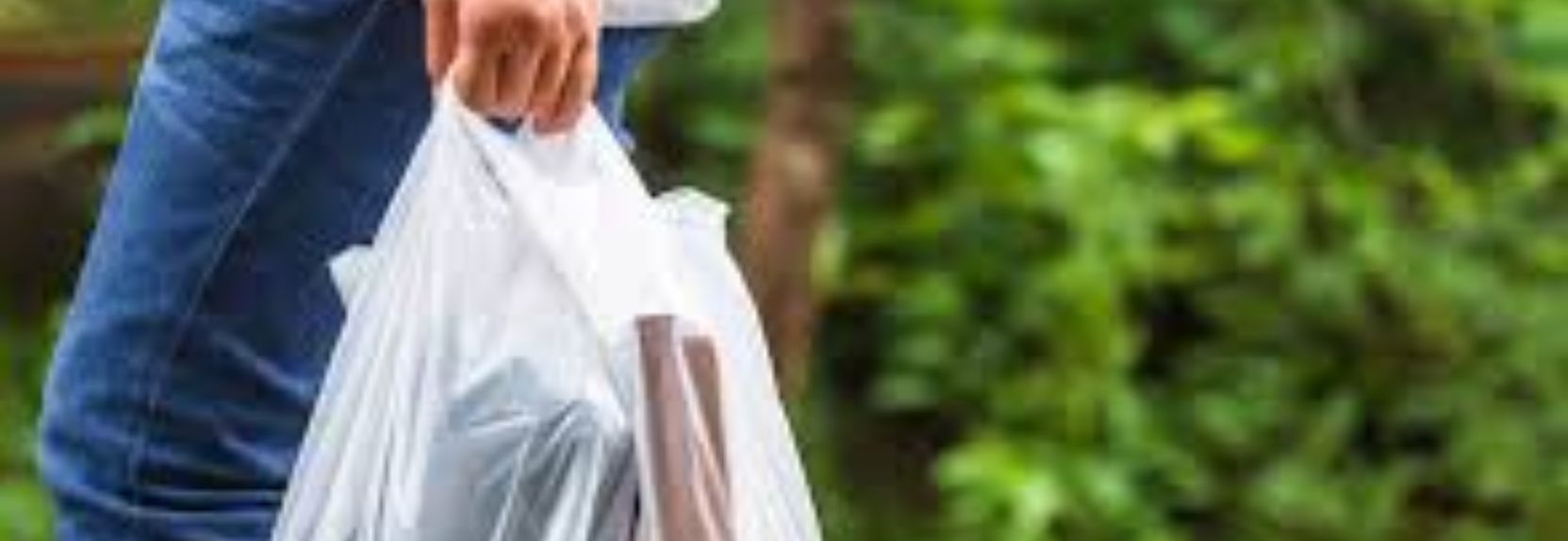Bolsas Bolsas